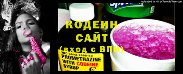 крисы Баксан