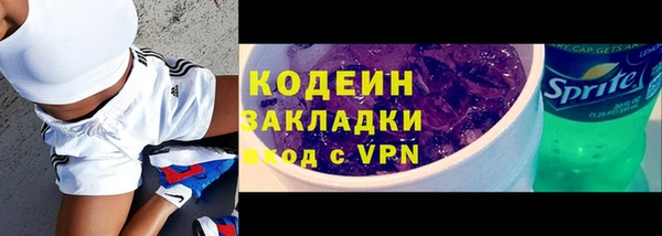 индика Балахна