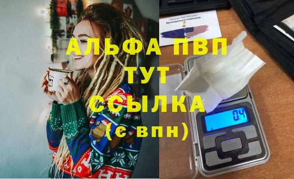 крисы Баксан