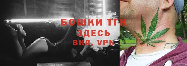 крисы Баксан