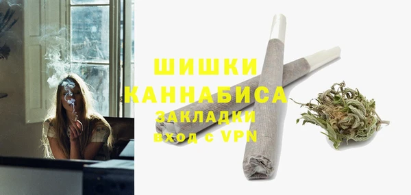 крисы Баксан