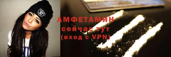 крисы Баксан