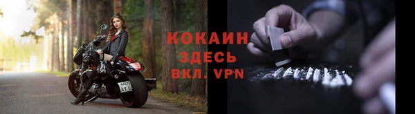 индика Балахна