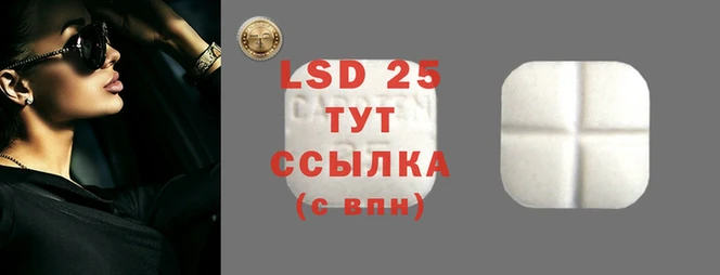 крисы Баксан