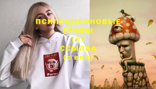 индика Балахна