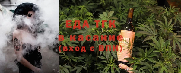 индика Балахна