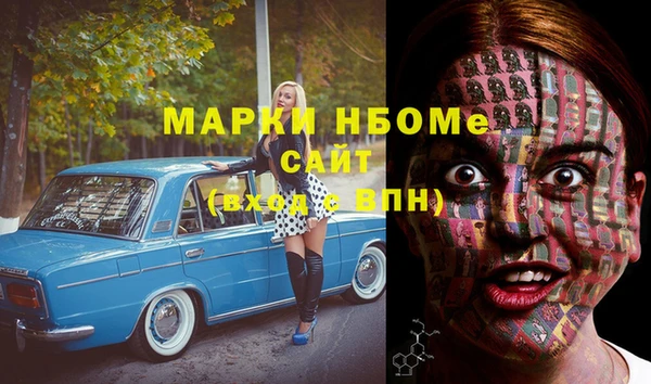 индика Балахна